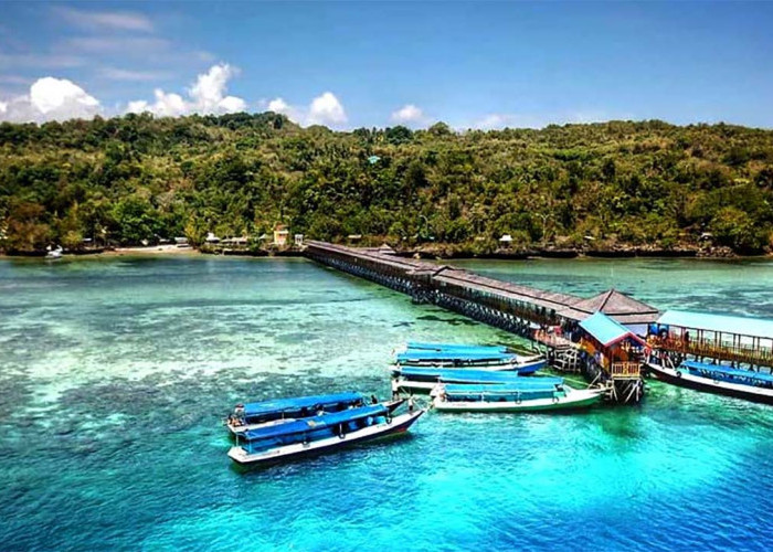 Pesona Alam Bawah Laut di Pulau Karampuang Sulawesi Barat yang Bikin Takjub