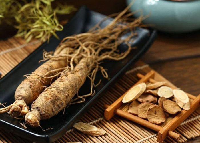 Mengenal Jenis-Jenis Ginseng: Dari Korea hingga Siberia, Mana yang Cocok untuk Anda?