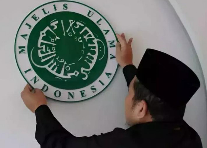 MUI Tanggapi Video Viral Di Medsos, Al-Qur'an Dinjak-injak