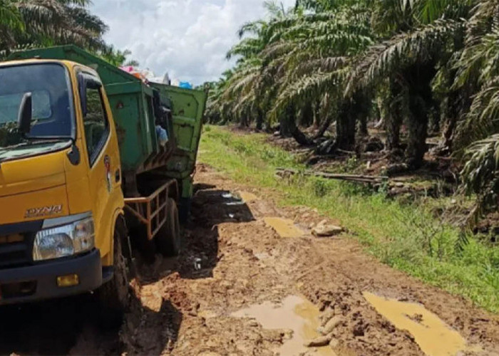 Jalan Perkebunan Bak Kubangan, Anggaran DBH Sawit Bangun Hotmix 