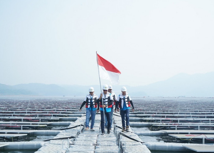 Green Financing BRI Terus Tumbuh Capai Rp89,9 Triliun, Dukung Pembangunan Berkelanjutan