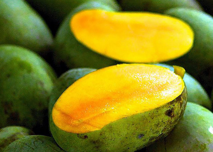 Kandungan Nutrisi Buah Mangga dan Cara untuk Mengonsumsi Mangga saat Diet