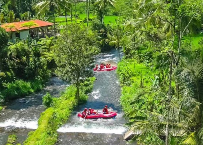 Ayo Berani Uji Adrenalin Di Arung Jeram Sungai Ayung Bali, Miliki 6 Tingkat Kesulitan