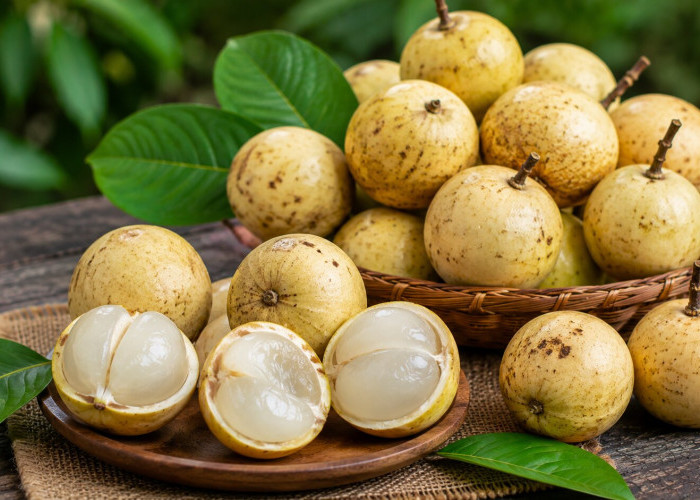 Manfaat Buah Menteng bagi Kesehatan: Buah Tradisional dengan Rasa Segar dan Kandungan Nutrisi Alami