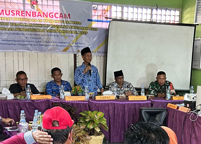 Camat Lubuk Pinang Evi Busmanja Masuki Masa Pensiun