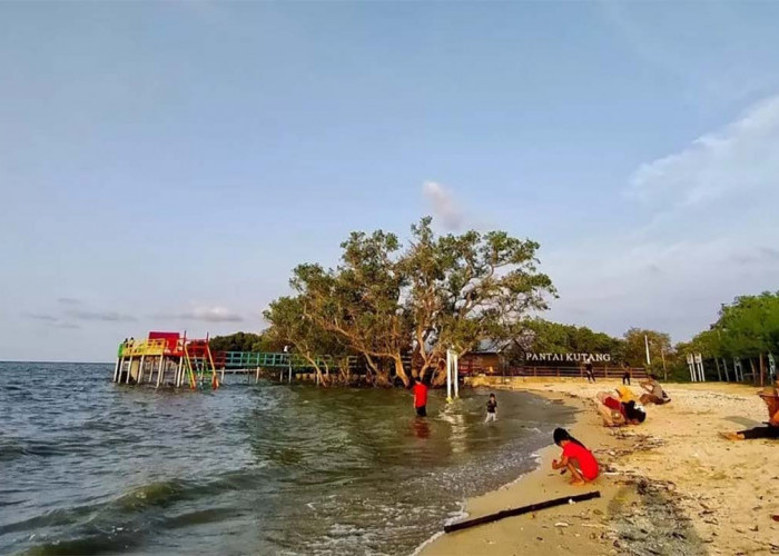 Menikmati Kesegaran dan Kesejukan Alam yang Masih Asir, Inilah Keindahan Alam Pantai Kutang