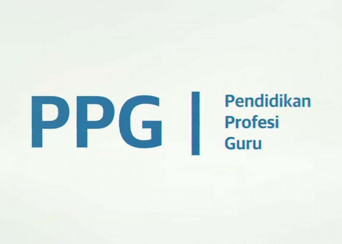 Siapkan Sejak Dini! Inilah Syarat dan Tips Sukses Daftar Program PPG (Pendidikan Profesi Guru)