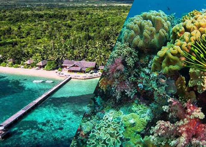 Bukan Hanya Bali, Wakatobi Rekomendasi Tujuan Wisata Terbaik, Bisa Enteng Dapat Jodoh
