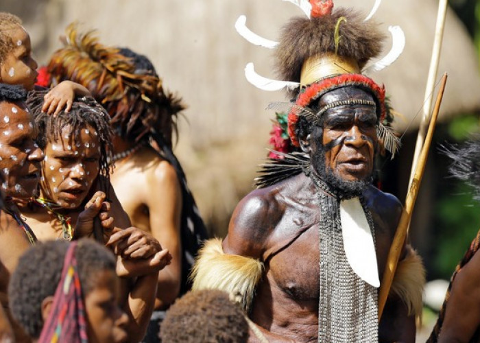 Kisah Perlawanan Ilaga Suku Dani Papua, Dulu Perang Melawan Belanda Kini Indonesia, Ada Apa?