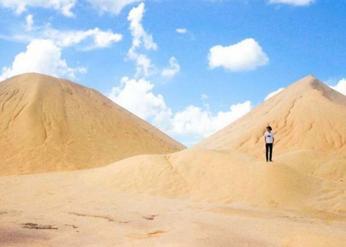 Jadi Spot Foto Instagramable, Inilah Keindahan Pesona Alam Bukit Pasir Busung