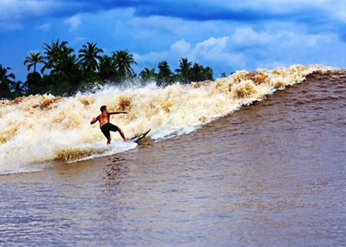 Cobain Pengalaman Berbeda di Sungai Kampar! Keseruan Bermain Surfing di Sungai 