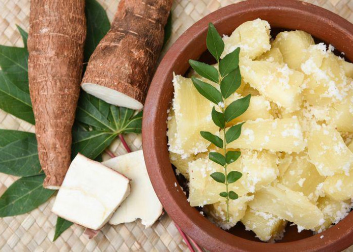 Rahasia Mengolah Singkong: Panduan Cerdas Menghilangkan Sianida demi Sajian Sehat dan Nikmat