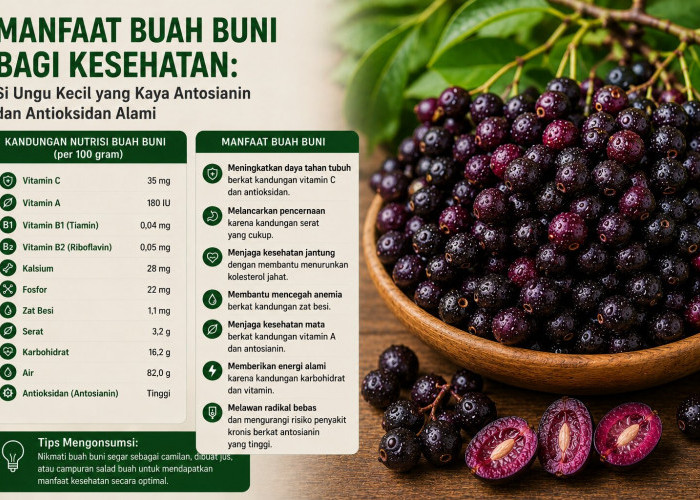 Manfaat Buah Buni bagi Kesehatan: Si Ungu Kecil yang Kaya Antosianin dan Antioksidan Alami