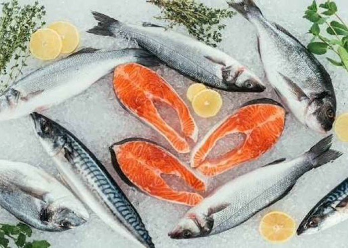 Ikan Laut yang Baik Dikonsumsi oleh Penderita Asam Urat