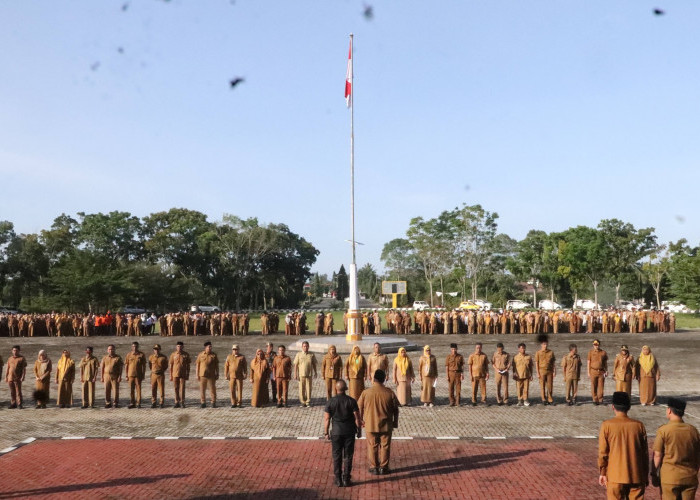 Gaji PNS Terbaru 2026 Cukup Tinggi, Belum Termasuk TPP atau Tukin