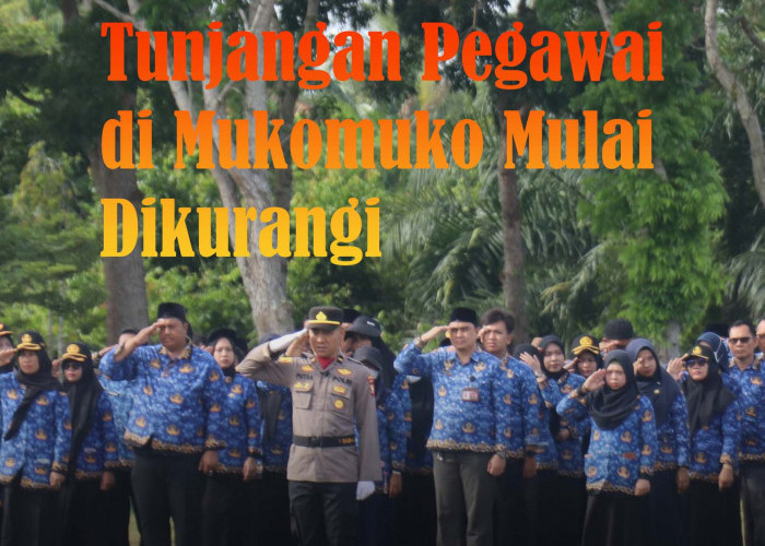 TPP ASN di Mukomuko Mulai Dikurangi, 2027 Berpotensi Dipangkas Lebih Dari 50 Persen