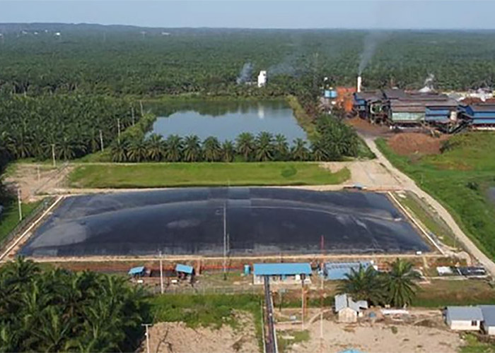 Waw! Riau Miliki Pembangkit Listrik Biogas Limbah Sawit, Pertama di Indonesia 