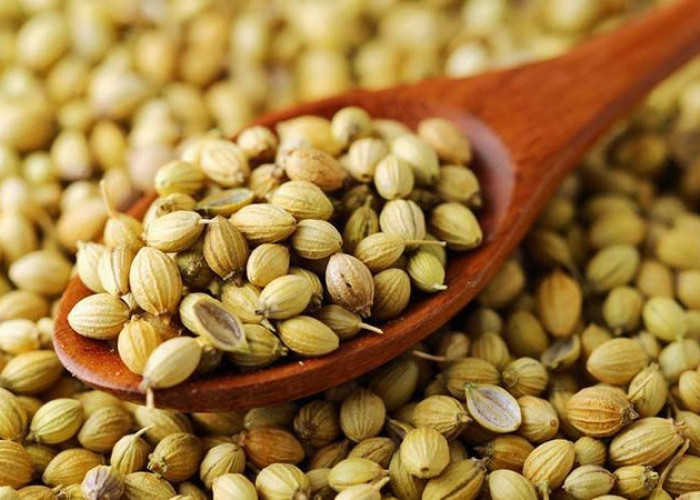 Manfaat Ketumbar untuk Mengontrol Gula Darah: Cocok untuk Penderita Diabetes!