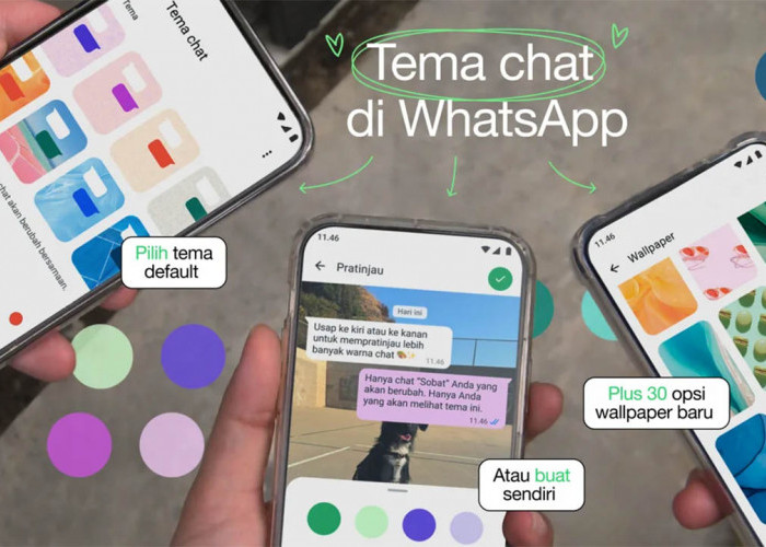 Fitur Baru! Begini Cara Mengubah Warna Tema Chat WhatsApp