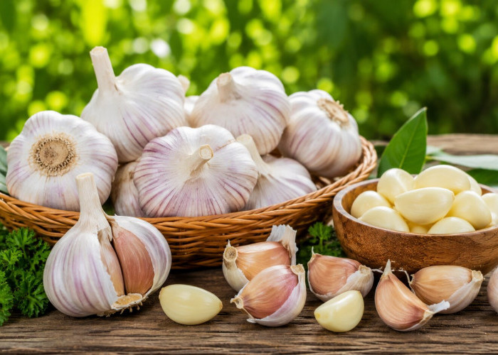 Manfaat Bawang Putih bagi Kesehatan: Bumbu Dapur Sederhana dengan Khasiat Besar untuk Tubuh