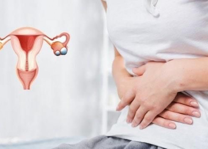 Konsultasi dengan Dokter Kandungan: Langkah Penting untuk Menjaga Kesehatan Rahim!