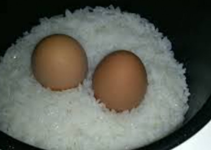 Tips Merebus Telur Dalam Magic Com Agar Tidak Pecah dan Mudah Dikupas, Bisa Tanpa Air