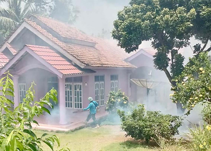 Kasus Demam Berdarah Terus Bertambah, Warga Diminta Tidur Dalam Kelambu