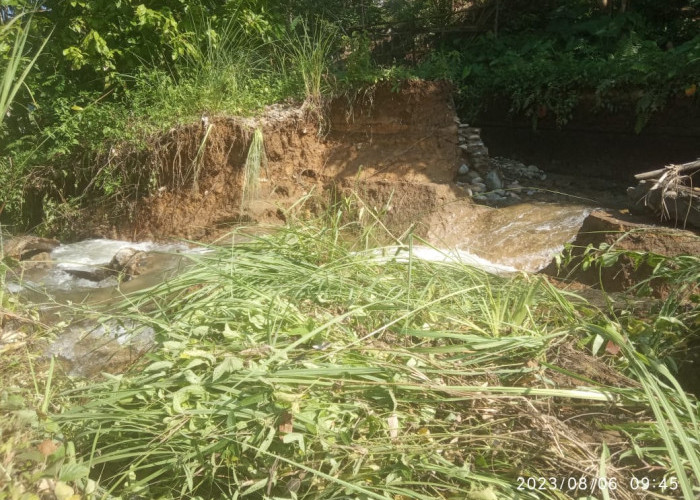 Pemkab Mukomuko Segera Tangani Irigasi Jebol Dihantam Banjir