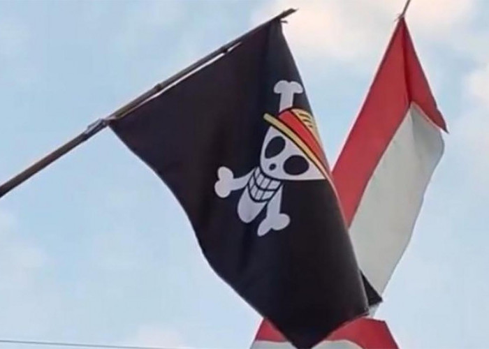 Pengibar Bendera One Piece Bisa Dipida, Bendera Apakah Itu?