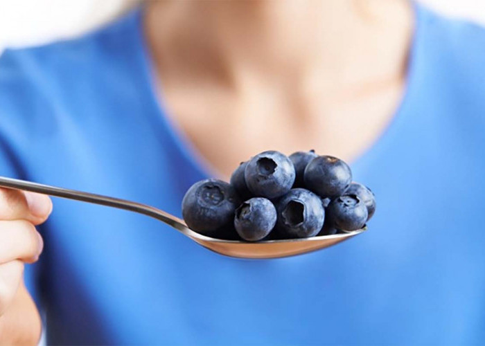 Bisa Mencegah Penuaan Dini, Inilah Manfaat Buah Blueberry Bagi Kesehatan Kulit