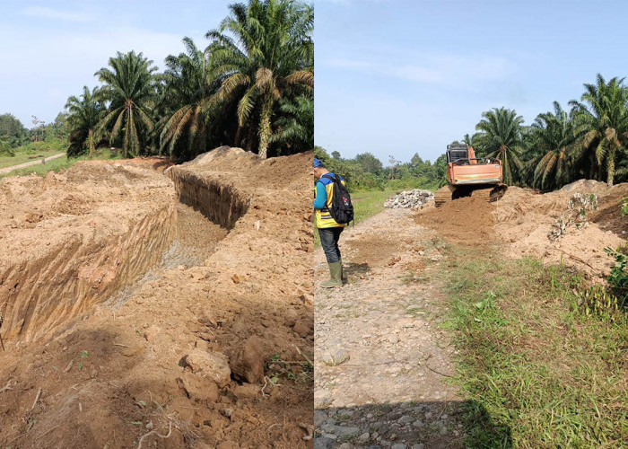 DI Manjuto Jebol, Pemerintah Bangun Siring Darurat Selamatkan Ratusan Hektare Sawah Petani Mukomuko