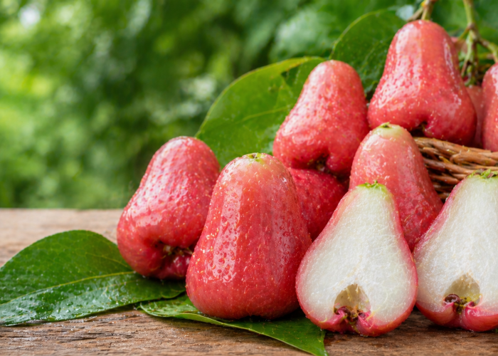Manfaat buah jambu air bagi Kesehatan: Segar, Ringan, dan Kaya Air