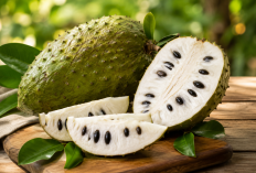 Manfaat Buah Sirsak bagi Kesehatan: Buah Tropis dengan Rasa Manis Asam yang Kaya Nutrisi