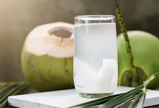 7 Manfaat Mengkosumsi Kelapa Muda Yang Jarang Diketahui