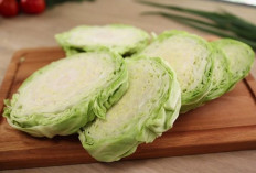 Keajaiban Kol: Sayuran Sederhana dengan Manfaat Luar Biasa untuk Kesehatan Optimal