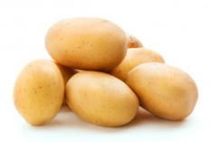 Kandungan Nutrisi Kentang: Vitamin C, Kalium, Serat, dan Antioksidan!