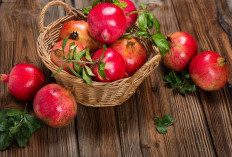 Permata Merah untuk Buah Hati: Manfaat Luar Biasa Delima bagi Kesuburan Pria dan Wanita!