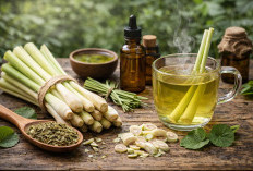 Serai: Bumbu Dapur yang Ternyata Punya Khasiat Menenangkan dan Menyehatkan Tubuh