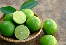 Manfaat Jeruk Nipis untuk Kesehatan: Vitamin C Alami dan Antioksidan yang Menyehatkan Tubuh