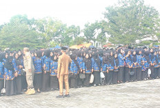 PPPK Paruh Waktu Diangkat Penuh Waktu 2027, Jika Terwujud Gaji Ditanggung Pusat