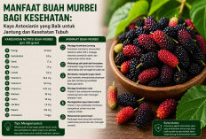 Manfaat Buah Murbei bagi Kesehatan: Kaya Antosianin yang Baik untuk Jantung dan Kesehatan Tubuh