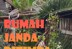 Rumah Janda Hancur Tertimpa Durian dan Kelapa Saat Badai, Di Pondok Panjang Mukomuko 