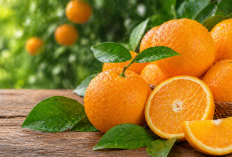 Manfaat buah jeruk bagi Kesehatan: Segar, Asam Manis, dan Kaya Vitamin C