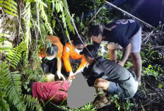 Pergi Cari Brondol Sawit, Warga Dusun Baru Pelokan Ditemukan Meninggal