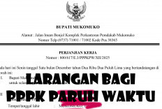 Larangan Bagi PPPK Paruh Waktu, Jika Melanggar Bisa Dipecat Atau Kontrak Tidak Diperpanjang