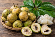 Manfaat Buah Kawista bagi Kesehatan: Buah Khas Nusantara yang Kaya Nutrisi dan Memiliki Aroma Unik