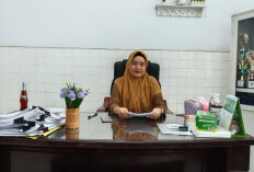 Pasca Lebaran, Dispepsia dan Febris Jadi Penyakit Terbanyak di Puskesmas Lubuk Pinang