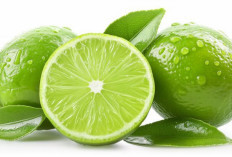 Resep Minuman Sehat dan Segar Berbasis Jeruk Nipis: Infused Water, Minuman Beras Jeruk Nipis