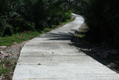 Desa di Kecamatan Pondok Suguh Mulai Kebut Pengajuan Tahap Dua