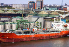 Perang Iran vs Israel dan Amerika Berdampak pada Harga CPO, Ini Kata Pengamat Ekonomi